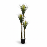 Artificial Everfresh Yucca X3 Plant - 4.5 ft (135 cm)